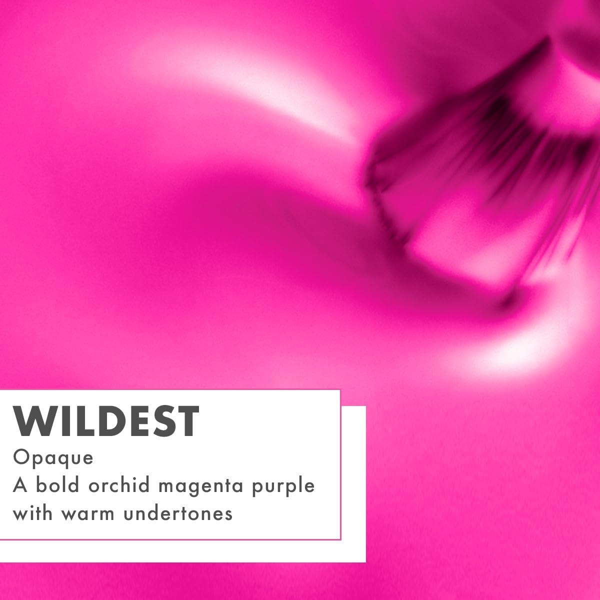 imageOlive ampamp June Quick Dry Nail Polish Instant FastDrying Smudgeproof Color 15free Vegan CrueltyFree Formula Lasts up to 5 Days SalonQuality Manicure Pedicure at HomeEnchanted Violet ShimmerWildest